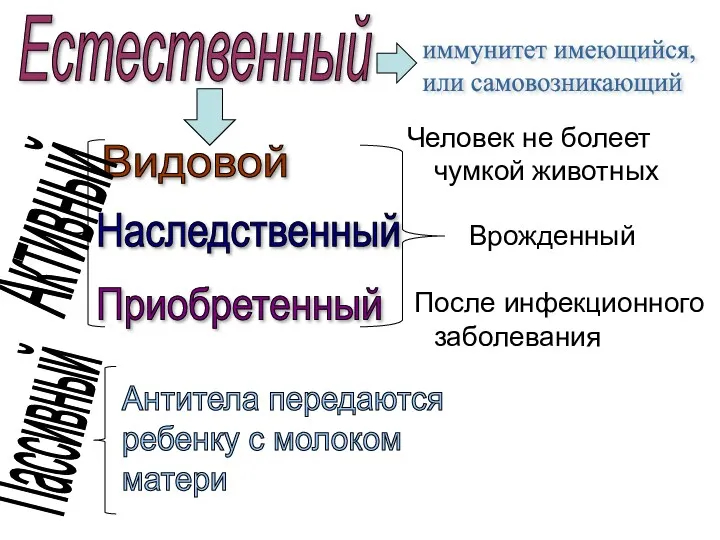 Человек не болеет чумкой животных Врожденный После инфекционного заболевания Видовой