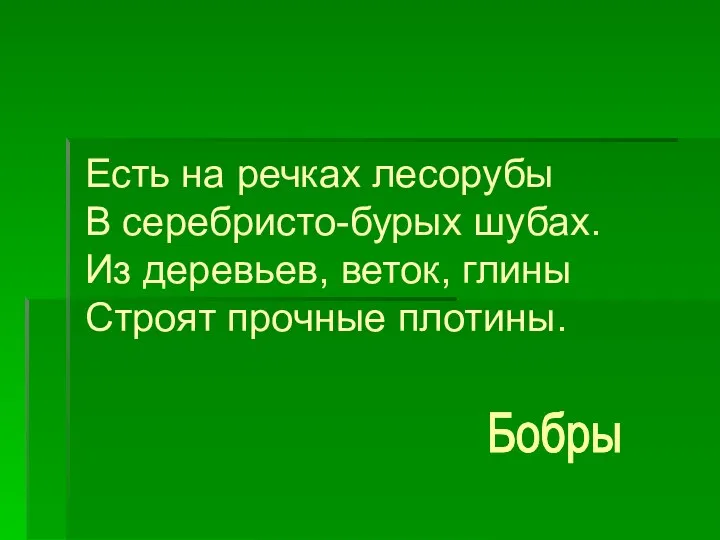 Есть на речках лесорубы В серебристо-бурых шубах. Из деревьев, веток, глины Строят прочные плотины. Бобры