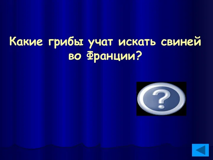 Какие грибы учат искать свиней во Франции? Трюфели