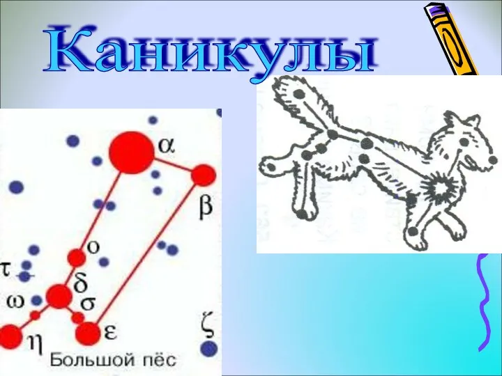 Каникулы