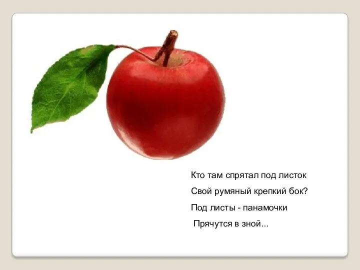 Кто там спрятал под листок Свой румяный крепкий бок? Под листы - панамочки Прячутся в зной...