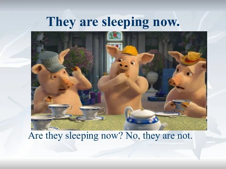They are sleeping now. Are they sleeping now? No, they are not.