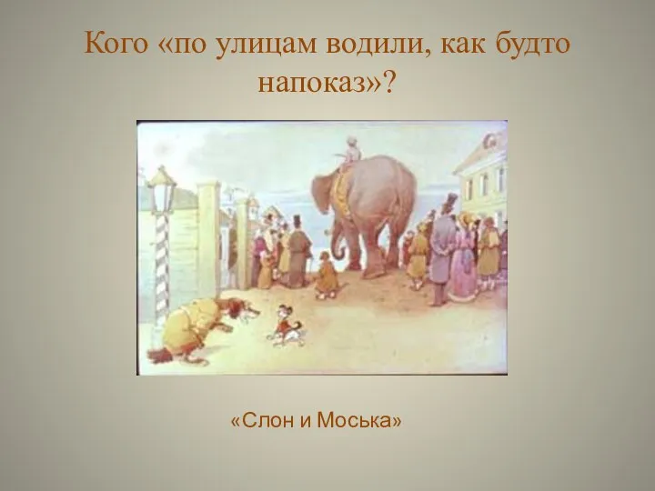 Кого «по улицам водили, как будто напоказ»? «Слон и Моська»