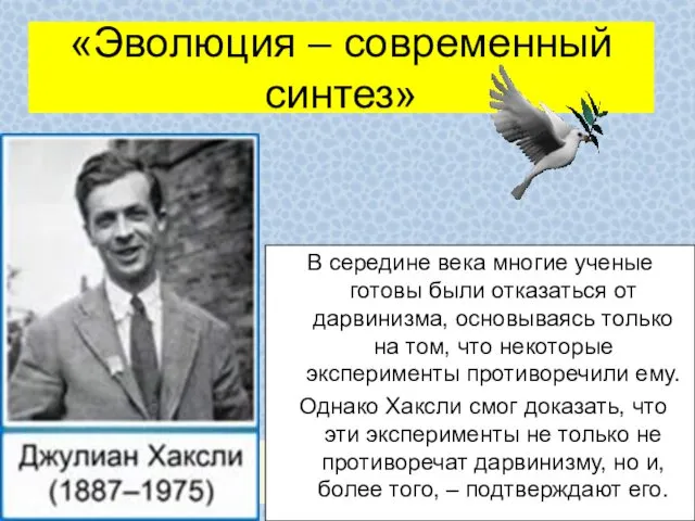 «Эволюция – современный синтез» В середине века многие ученые готовы