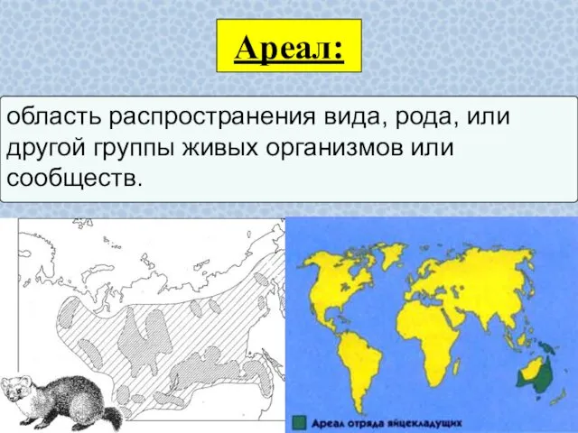 Ареал: область распространения вида, рода, или другой группы живых организмов или сообществ.