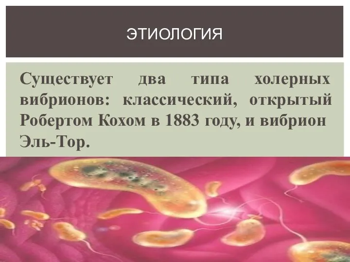 Существует два типа холерных вибрионов: классический, открытый Робертом Кохом в 1883 году, и вибрион Эль-Тор. Этиология