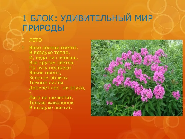 1 БЛОК: УДИВИТЕЛЬНЫЙ МИР ПРИРОДЫ ЛЕТО Ярко солнце светит, В воздухе тепло, И,