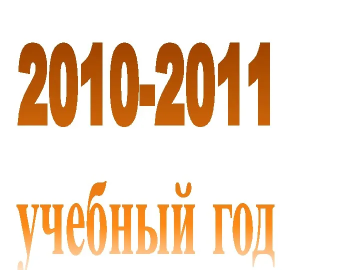 2010-2011 учебный год