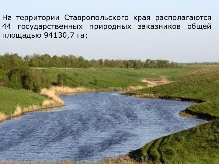 На территории Ставропольского края располагаются 44 государственных природных заказников общей площадью 94130,7 га;