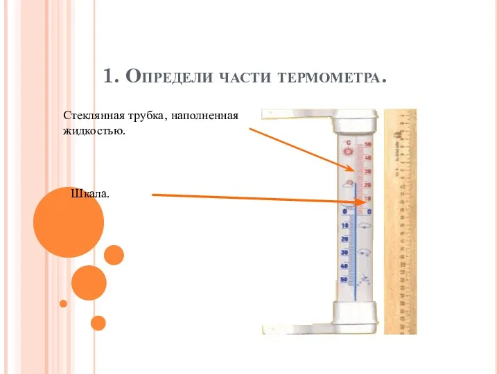 1. Определи части термометра. Стеклянная трубка, наполненная жидкостью. Шкала.