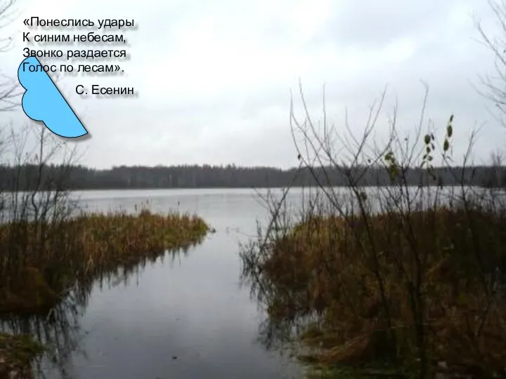 «Понеслись удары К синим небесам, Звонко раздается Голос по лесам».