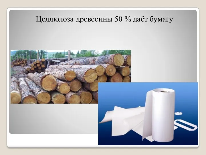 Целлюлоза древесины 50 % даёт бумагу