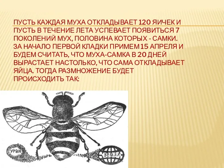 Пусть каждая муха откладывает 120 яичек и пусть в течение