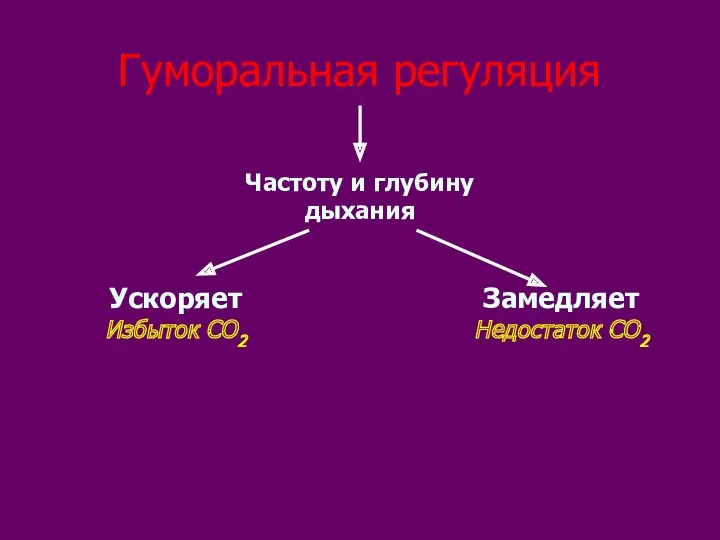 Гуморальная регуляция Частоту и глубину дыхания Ускоряет Избыток СО2 Замедляет Недостаток СО2