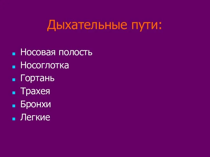 Дыхательные пути: Носовая полость Носоглотка Гортань Трахея Бронхи Легкие