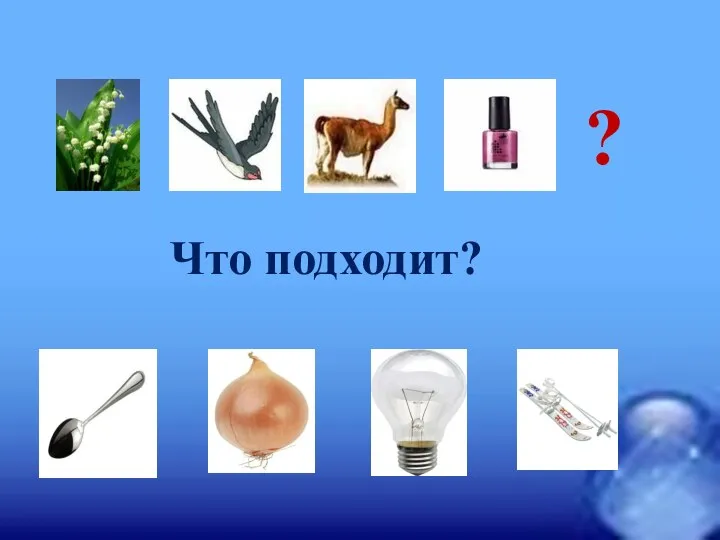 Что подходит? ?