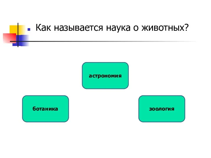 Как называется наука о животных? зоология ботаника астрономия