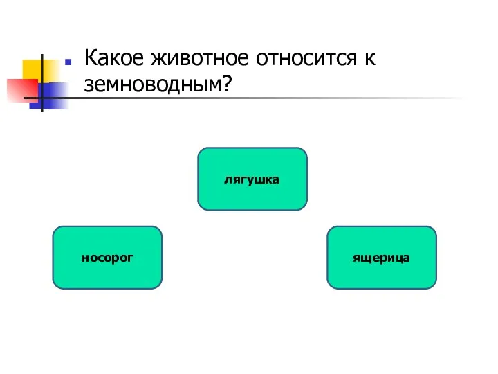 Какое животное относится к земноводным? лягушка носорог ящерица