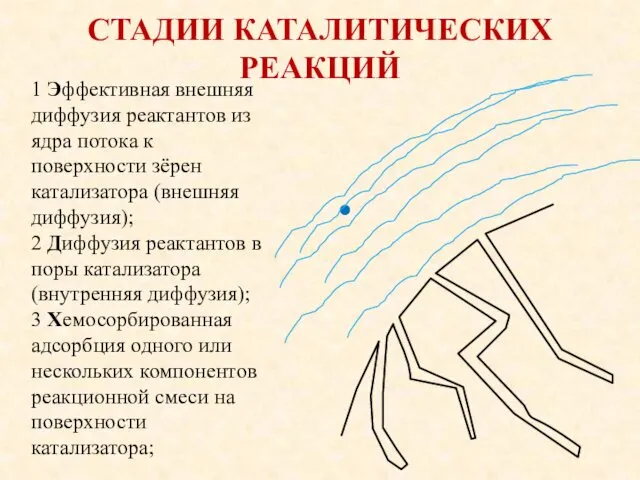 СТАДИИ КАТАЛИТИЧЕСКИХ РЕАКЦИЙ 1 Эффективная внешняя диффузия реактантов из ядра