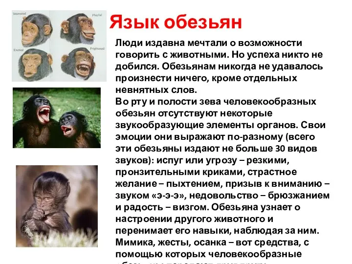 Язык обезьян Люди издавна мечтали о возможности говорить с животными.