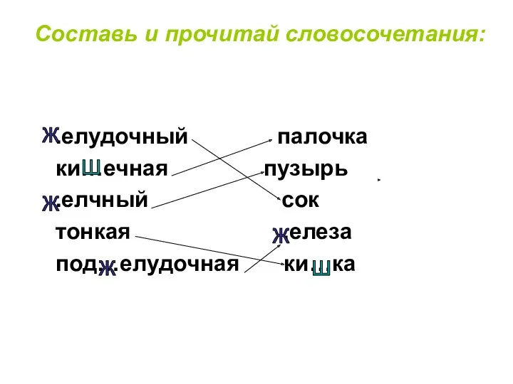 Составь и прочитай словосочетания: .елудочный палочка ки…ечная пузырь .елчный сок