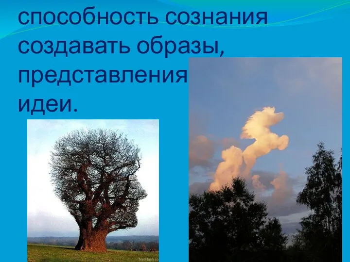 Воображе́ние — способность сознания создавать образы, представления, идеи.