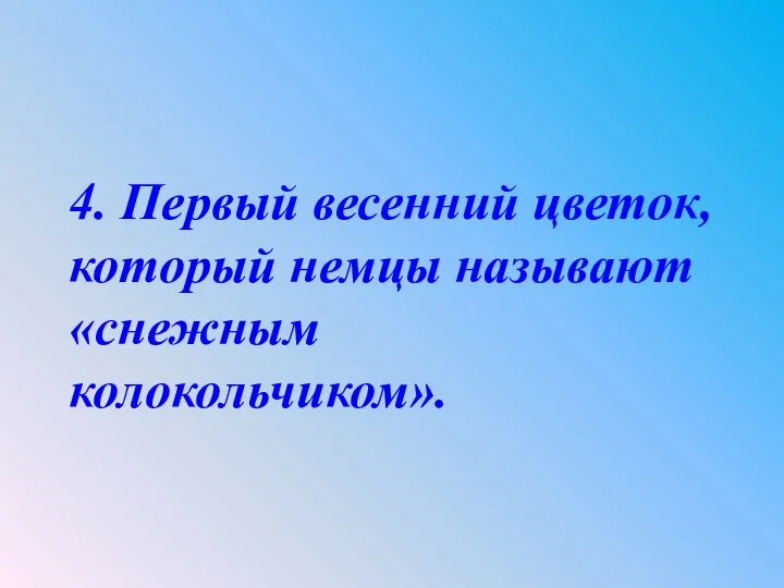 4. Первый весенний цветок, который немцы называют «снежным колокольчиком».