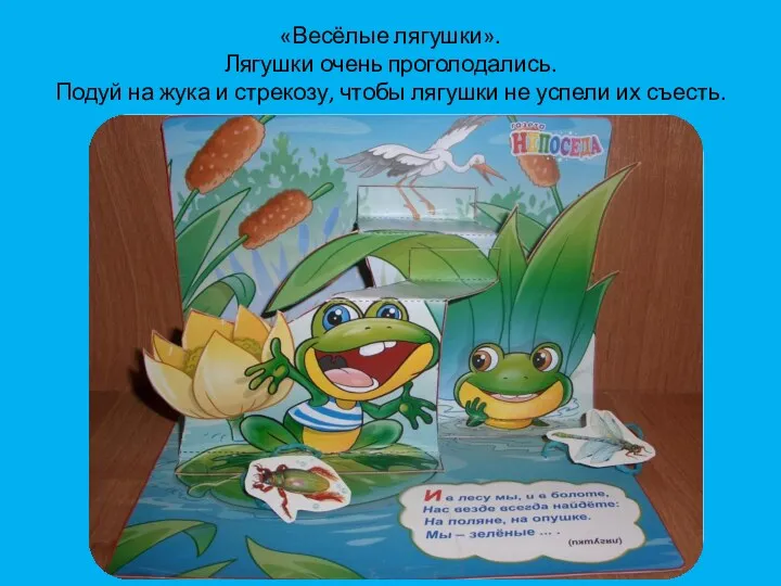 «Весёлые лягушки». Лягушки очень проголодались. Подуй на жука и стрекозу, чтобы лягушки не успели их съесть.