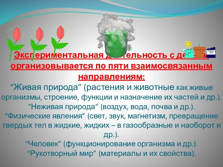 Экспериментальная деятельность с детьми организовывается по пяти взаимосвязанным направлениям: “Живая