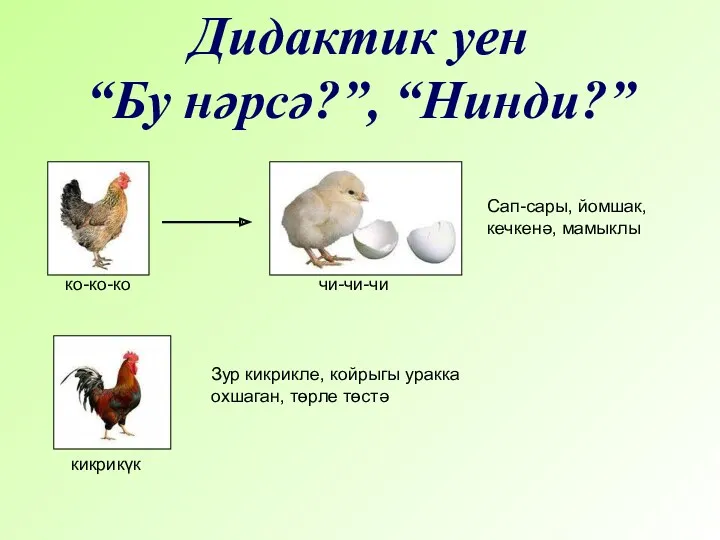 Дидактик уен “Бу нәрсә?”, “Нинди?” Сап-сары, йомшак, кечкенә, мамыклы ко-ко-ко