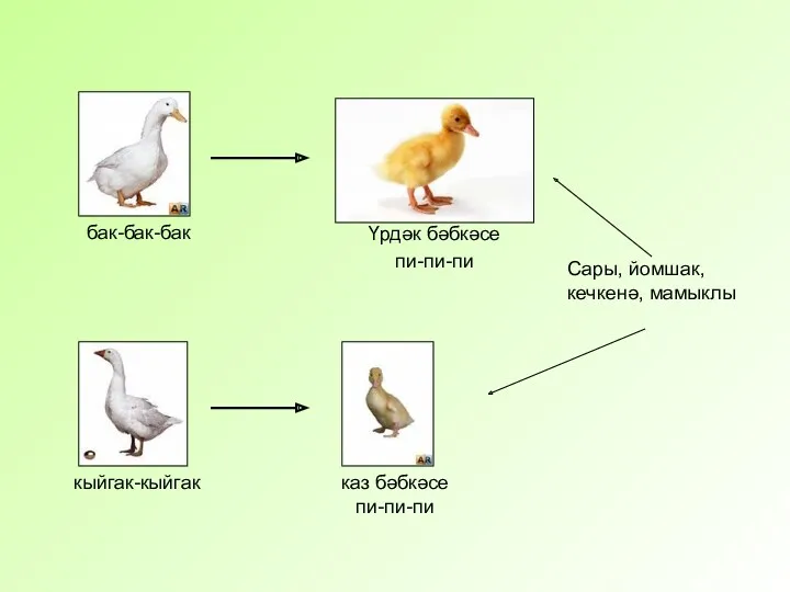 Сары, йомшак, кечкенә, мамыклы бак-бак-бак каз бәбкәсе пи-пи-пи Үрдәк бәбкәсе пи-пи-пи кыйгак-кыйгак