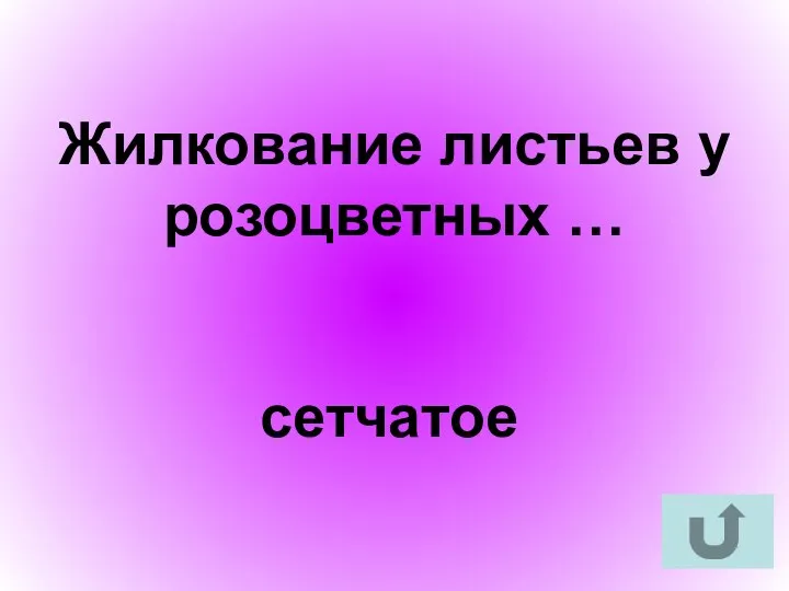 Жилкование листьев у розоцветных … сетчатое