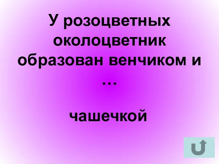 У розоцветных околоцветник образован венчиком и … чашечкой