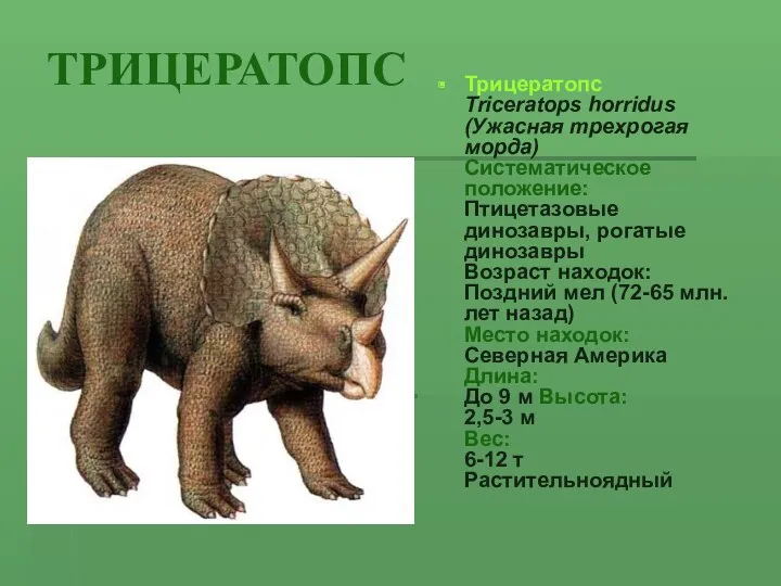 ТРИЦЕРАТОПС Трицератопс Triceratops horridus (Ужасная трехрогая морда) Систематическое положение: Птицетазовые динозавры, рогатые динозавры