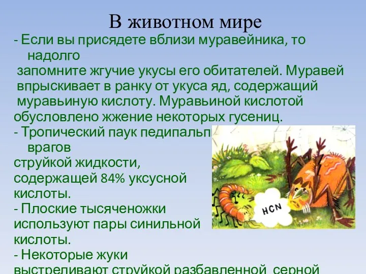 В животном мире - Если вы присядете вблизи муравейника, то