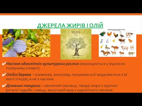 ДЖЕРЕЛА ЖИРІВ І ОЛІЙ Насіння однолітніх культурних рослин (вирощуються у