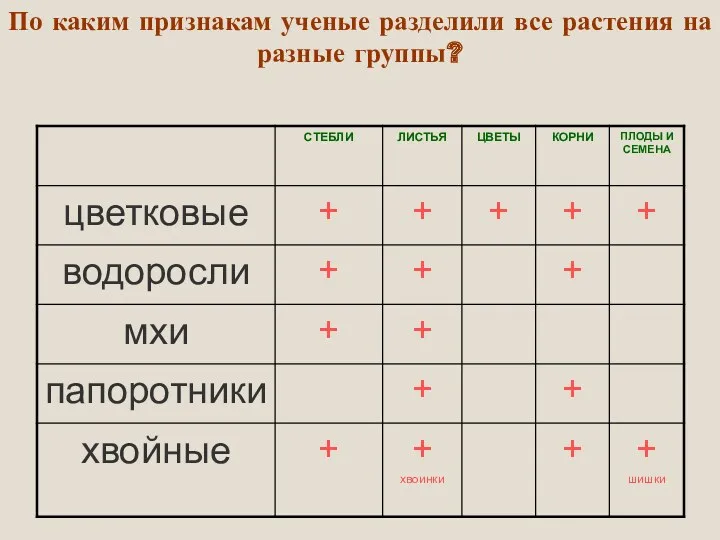 По каким признакам ученые разделили все растения на разные группы?