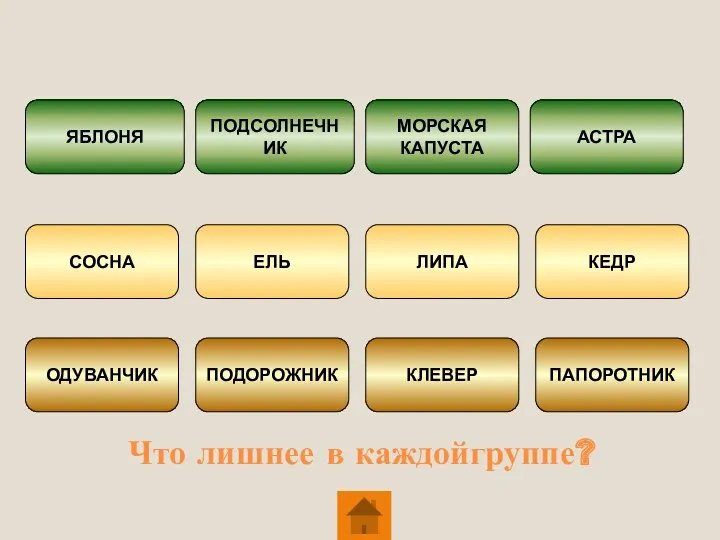 Что лишнее в каждойгруппе? ЯБЛОНЯ ПОДСОЛНЕЧНИК МОРСКАЯ КАПУСТА АСТРА СОСНА