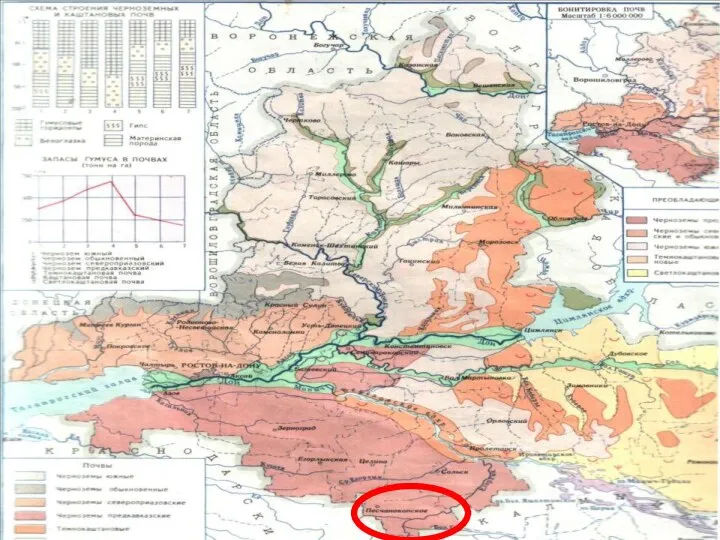 Почвы Чернозём Предкавказские мощные Среднемощные Карбонатные Глинистые Лугово-чернозёмные