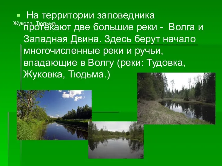 Жукопа, Тюдьма На территории заповедника протекают две большие реки - Волга и Западная