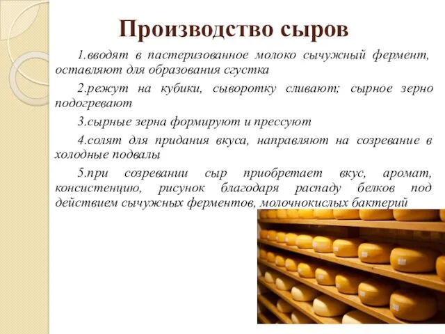 Производство сыров 1.вводят в пастеризованное молоко сычужный фермент, оставляют для образования сгустка 2.режут