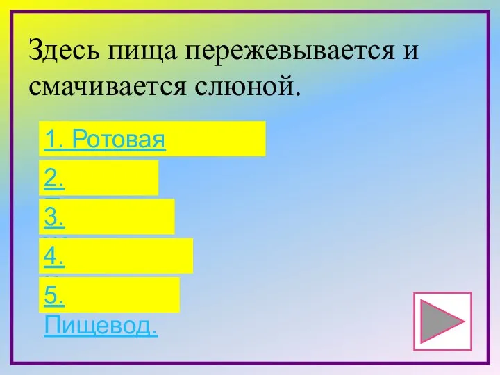 Здесь пища пережевывается и смачивается слюной. 1. Ротовая полость. 2.