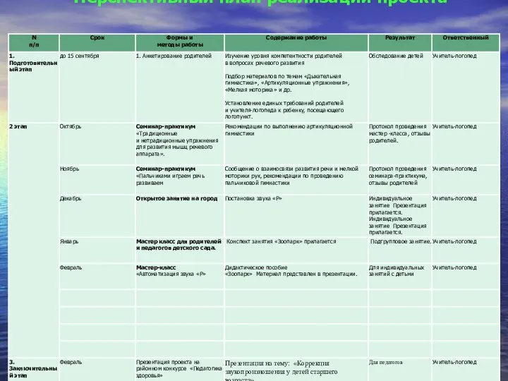 Перспективный план реализации проекта