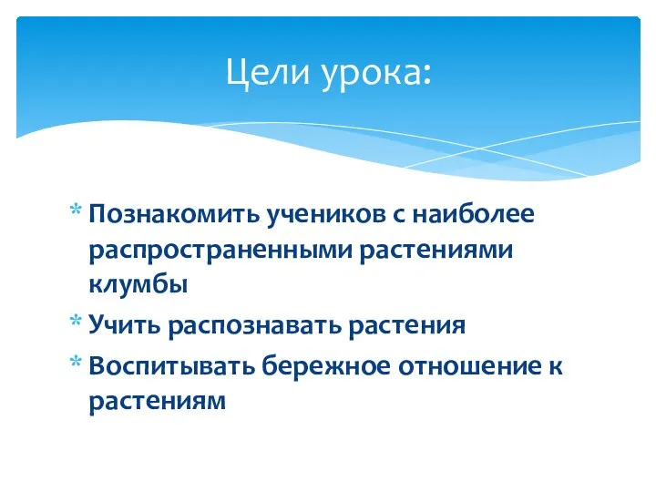 Познакомить учеников с наиболее распространенными растениями клумбы Учить распознавать растения Воспитывать бережное отношение