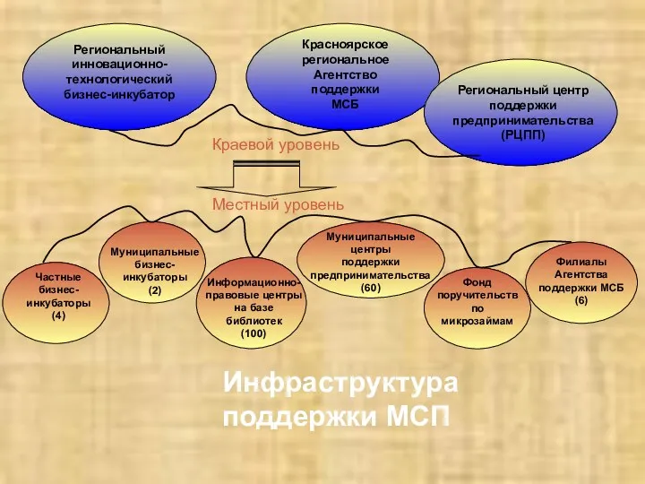 Инфраструктура поддержки МСП Филиалы Агентства поддержки МСБ (6) Местный уровень Краевой уровень