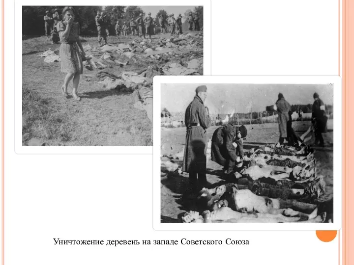 Уничтожение деревень на западе Советского Союза