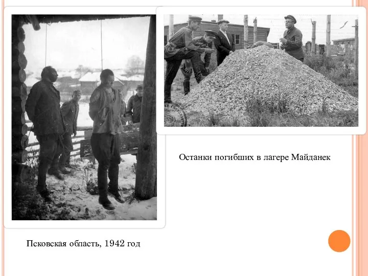 Псковская область, 1942 год Останки погибших в лагере Майданек