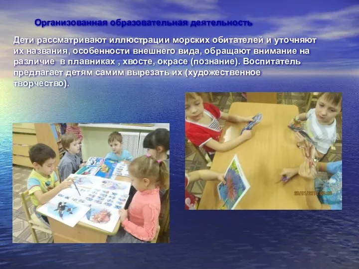 Организованная образовательная деятельность Дети рассматривают иллюстрации морских обитателей и уточняют их названия, особенности