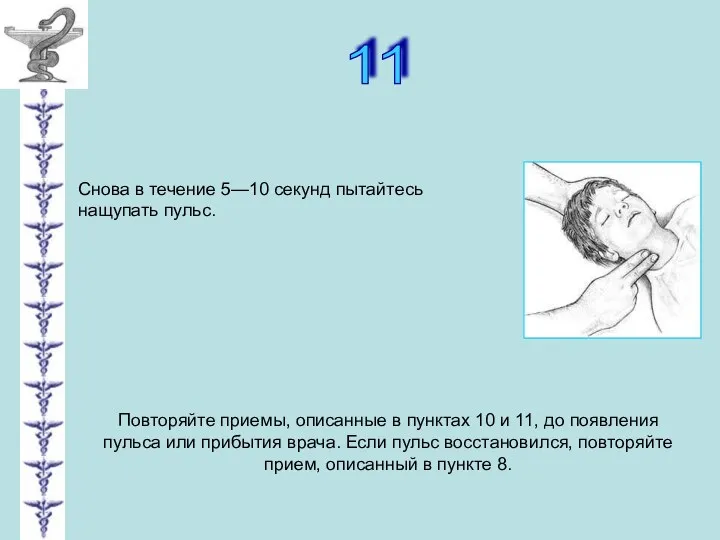 11 Снова в течение 5—10 секунд пытайтесь нащупать пульс. Повторяйте