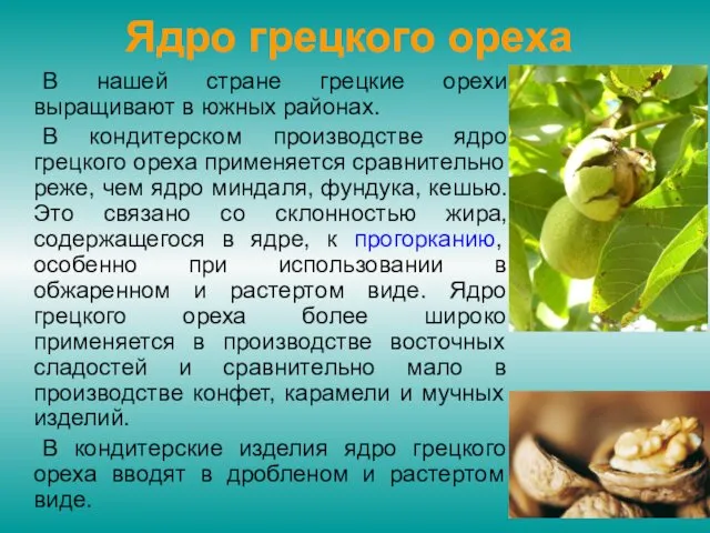 Ядро грецкого ореха В нашей стране грецкие орехи выращивают в